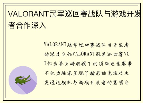 VALORANT冠军巡回赛战队与游戏开发者合作深入