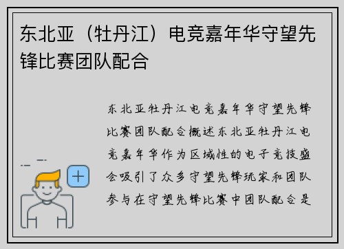东北亚（牡丹江）电竞嘉年华守望先锋比赛团队配合