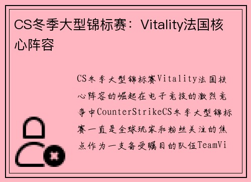 CS冬季大型锦标赛：Vitality法国核心阵容