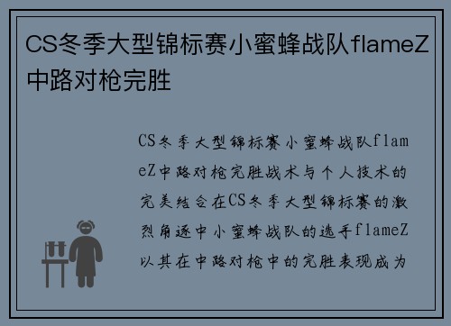 CS冬季大型锦标赛小蜜蜂战队flameZ中路对枪完胜