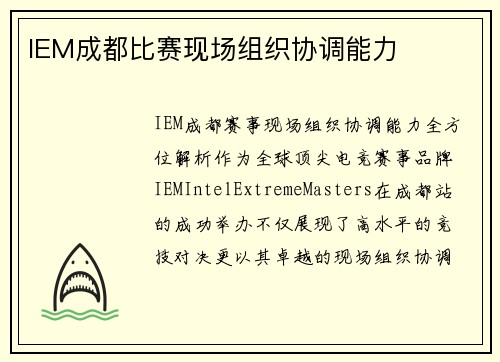 IEM成都比赛现场组织协调能力